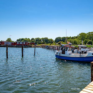 Bøgeskov-havn-300_300 Vallø